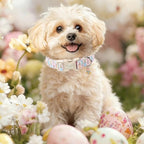 Easter Dog Collar for Large Dogs - Image 2