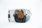 Petmate Vari Dog Kennel Portable Airline-Friendly Carriers & Crates - Image 8
