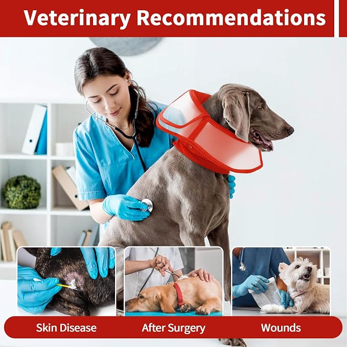 Allroaring Dog Cone Collar, Soft Dog Cones - Image 6