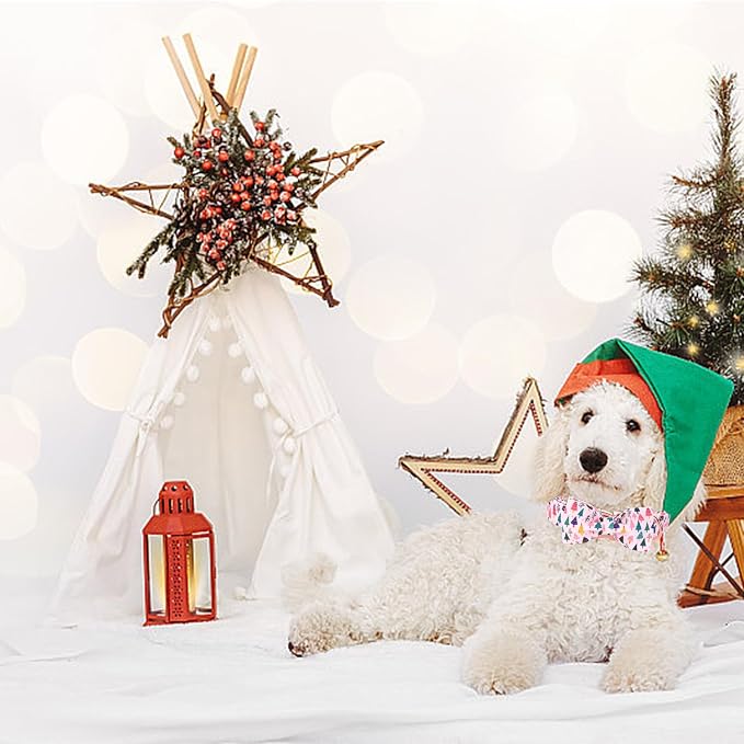Christmas Dog Collar - Image 5