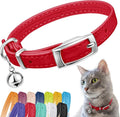 CollarDirect Leather Cat Collar, Kitten Collar by CollarDirect