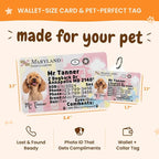 PawFurEver Personalized Dog Driver License ID Tag - Image 3