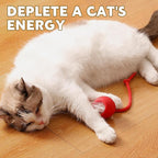 Chewie Viral Rolling Pet Ball, Interactive Cat & Dog Toy, 360 Smart Automatic - Image 7