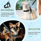 SlowTon No Pull Small Dog Harness and Leash Set, Puppy Soft Vest Harness Neck & - Image 3