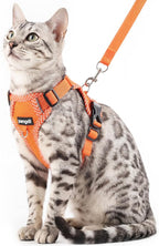 Cat Harness and Leash Escape Proof Small Kitten Harness Abyssinian Cat Vest by pangdi
