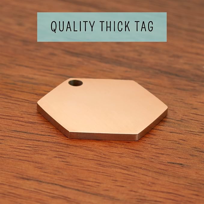 Ultra Joys Stainless Steel Pet ID Customized Personalized, Front and Back - Image 4