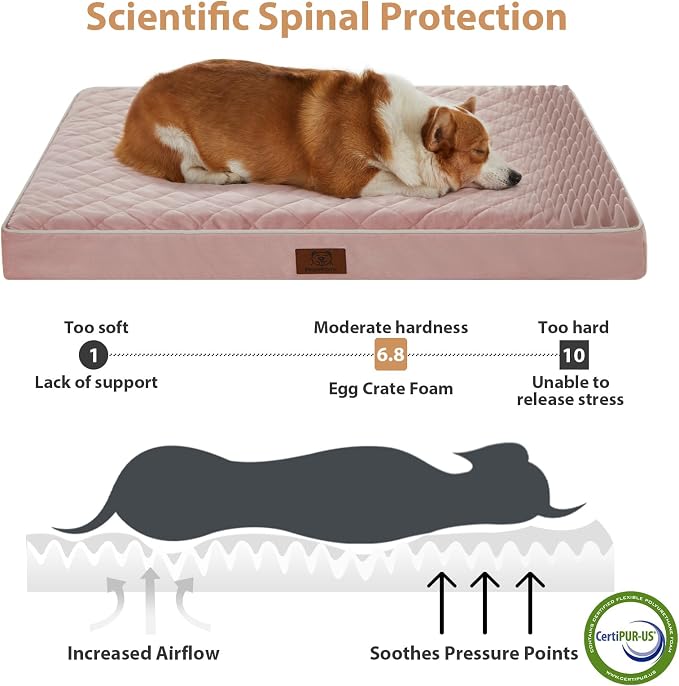 WNPETHOME Orthopedic XL Dog Beds Large Sized Dog, Waterproof Extra Large Dogs - Image 3