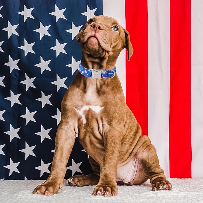 Unique style paws Independence Day Dog Collar Metal Buckle Ice Flag Collar Gift - Image 3