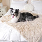 gogobunny Waterproof Dog Blanket - Image 4