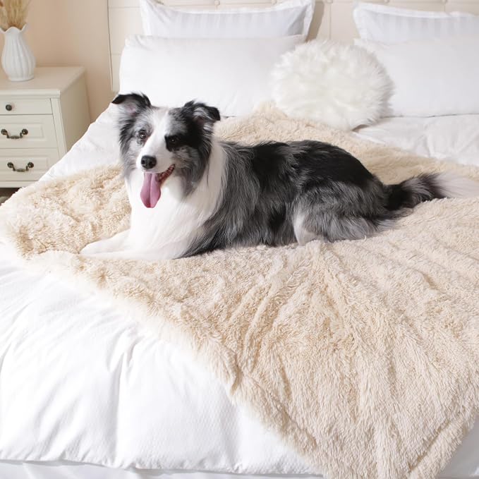 gogobunny Waterproof Dog Blanket - Image 5