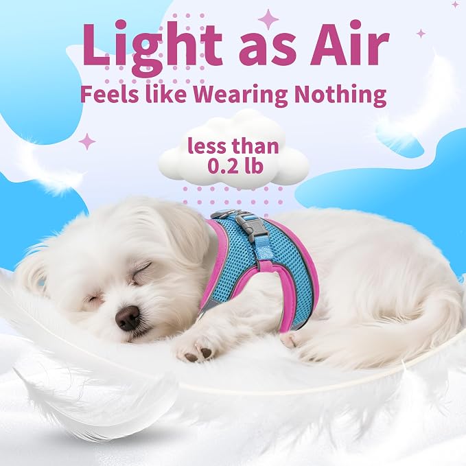 AIITLE Step in Dog Harness and Leash Set - Image 6