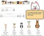 DOGWONG Valentine's Day Dog Collar - Image 6