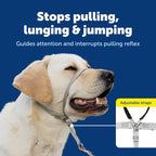 PetSafe Gentle Leader Headcollar - Image 3