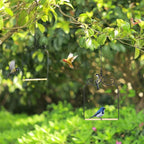 3PK Metal Frame Hummingbird Swings and Perches - Image 5