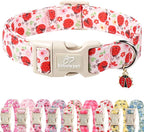Lucky Ladybug Dog Collar for Puppy Small Dogs by Babolepet