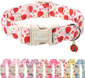 Lucky Ladybug Dog Collar for Giant Large Dogs by Babolepet