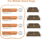 Large Dog Bed Orthopedic Washable: Beds Bolster XL Bed Medium Large Dogs Egg - Image 6