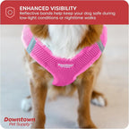 Downtown Pet Supply Step in Dog Harness No Pull - Image 7