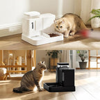 Automatic Cat Feeder and Water Dispenser Set, 2 in 1 Gravity Cat Food Dispenser - Image 8