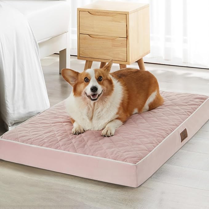 WNPETHOME Orthopedic XL Dog Beds Large Sized Dog, Waterproof Extra Large Dogs by WNPETHOMEPETSHOME