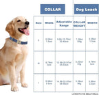Genuine Leather Dog Collar - Image 4