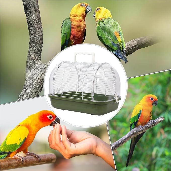 Transparent Small Bird - Image 4