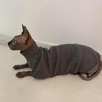 Kitipcoo Sweater for Sphynx Cat, Deep Grey - Image 4