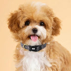 QQPETS Adjustable Soft Dog Collar: Print Flower Pink Multicolor Cute Patterns - Image 2