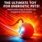 Interactive Electric Automatic Rolling Moving Rechargeable Self Play - Image 8