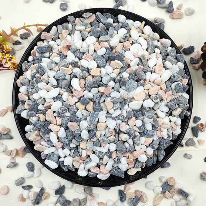 2LB Succulent and Cactus Gravel Pebbles, 1/5 Inch Natural Decorative Polished by YISZM-ForYourNaturalLife