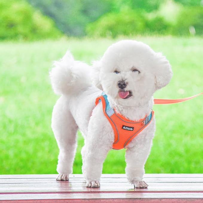 AIITLE Small Harness for Puppy - Image 6