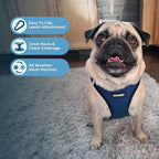 Best Pet Supplies - Image 5