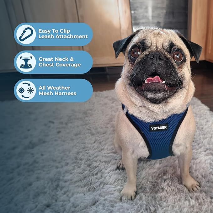 Best Pet Supplies - Image 3