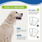 Dog Cone Collar After Surgery for Medium Dogs, Adjustable Soft Recovery Cone - Image 3