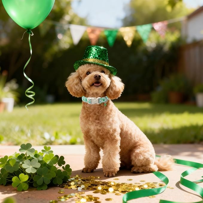 St Patricks Day Dog Collar for Large Dogs - Image 2