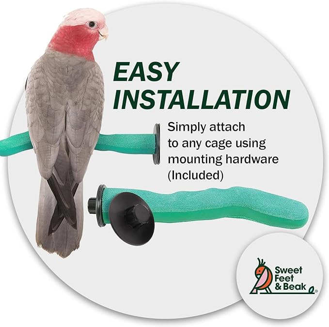 Sweet Feet & Beak Safety Pumice Bird Perch, X-Small 1/2" X 6" - Image 6