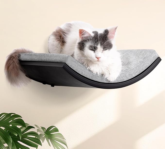 Cat Wall Shelf, Curved Cats Wall Bed, Wall Mounted Cat Grey Climbing Shelves by PELUOMOZ