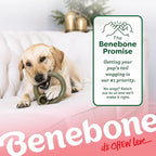 Benebone Peppermint Ring – Limited Edition Holiday Flavor, Durable Chew Toy - Image 6