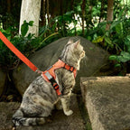 Cat Harness and Leash Escape Proof Medium Kitten Harness Bengal Cat Vest - Image 8