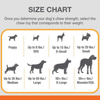 Nylabone Original Bone Flexi Chew Toy - Image 5