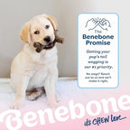Benebone Puppy 4-Pack Dog Chew Toys, Made in USA, 30lbs and Under, - Image 8