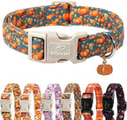 Fall Dog Collar Cute Autumn Pumpkin Puppy Collar by Babolepet