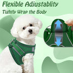 AIITLE Small Harness for Puppy - Image 5