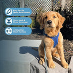 Best Pet Supplies Voyager Step-in Air Harness - Image 3