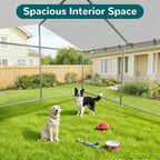 10'x10' Large Outdoor Dog Kennel Outside - Image 6