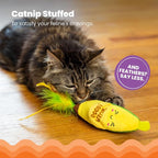Catstages Peelin' Good Banana Kicker Dental Catnip Toy - Image 3