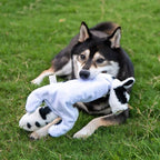 Best Pet Supplies Squeaky Dog Toys - Image 6