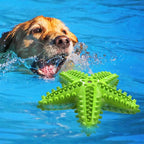 Chew Toy for Dog Toothbrush Stick Dog Toys for Aggressive Chewers Interactive - Image 3