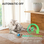 Interactive Cat Toys for Indoor Cats 2025 New Speedy Ball - Image 5