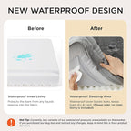 Bedsure Orthopedic Dog Beds for Small Dogs - Image 4